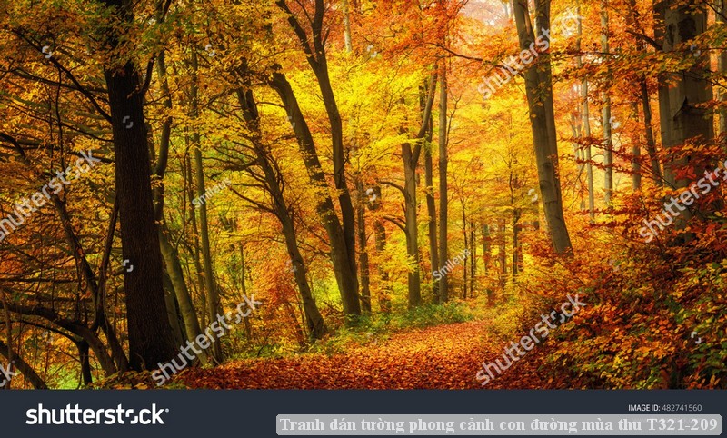 Tranh dán tường phong cảnh con đường mùa thu T321-209